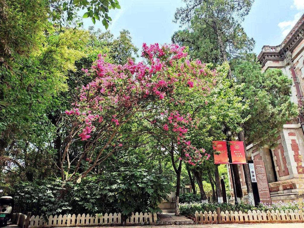 Kunming - Universite du Yunnan (12).jpg